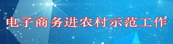 電子商務進農村示范工作專欄
